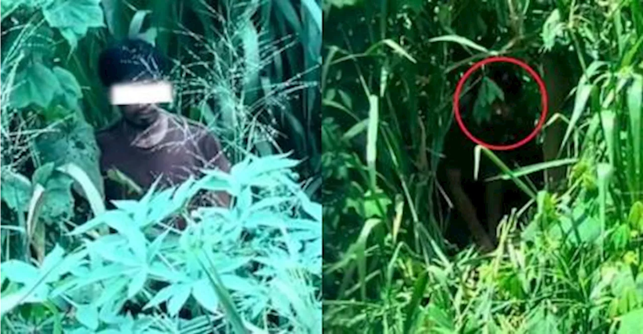 Woman in Sabah spots man lurking in bushes behind house