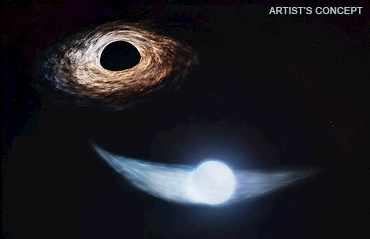 We Know When a Black Hole Will Have its Next Feast