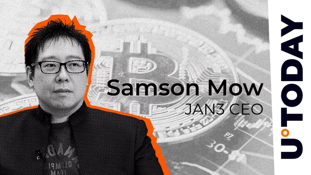 Bitcoin Risk-Off Asset, But Samson Mow Clarifies Crucial Nuance