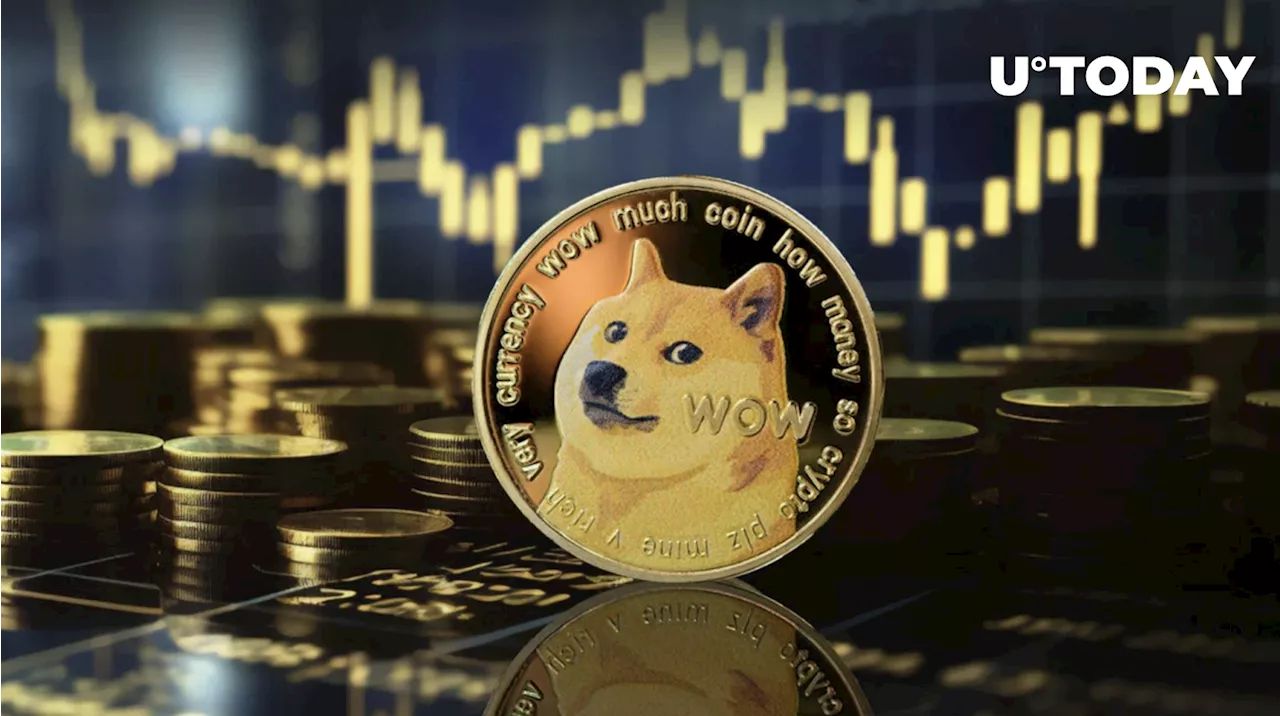 Dogecoin (DOGE) Price: Top Trader Reveals What to Expect from Leading Meme Coin