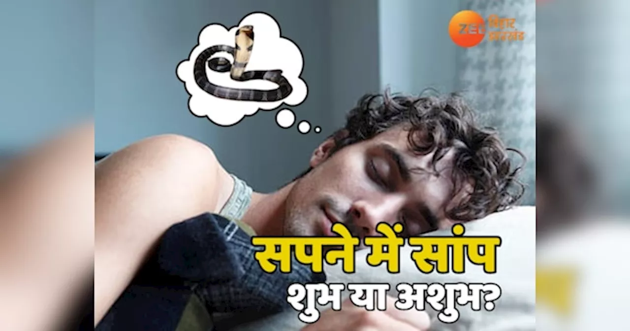 Snake in Dream: सुबह सपने में दिखाई दे सांप तो क्या है इसका मतलब? यहां जानें सर्प से जुड़े हर स्‍वप्‍न का अर्थ