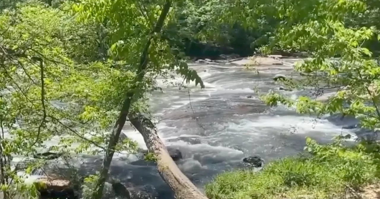 Scripps News visits Arabia Mountain State Park for Georgia's State Parks Week