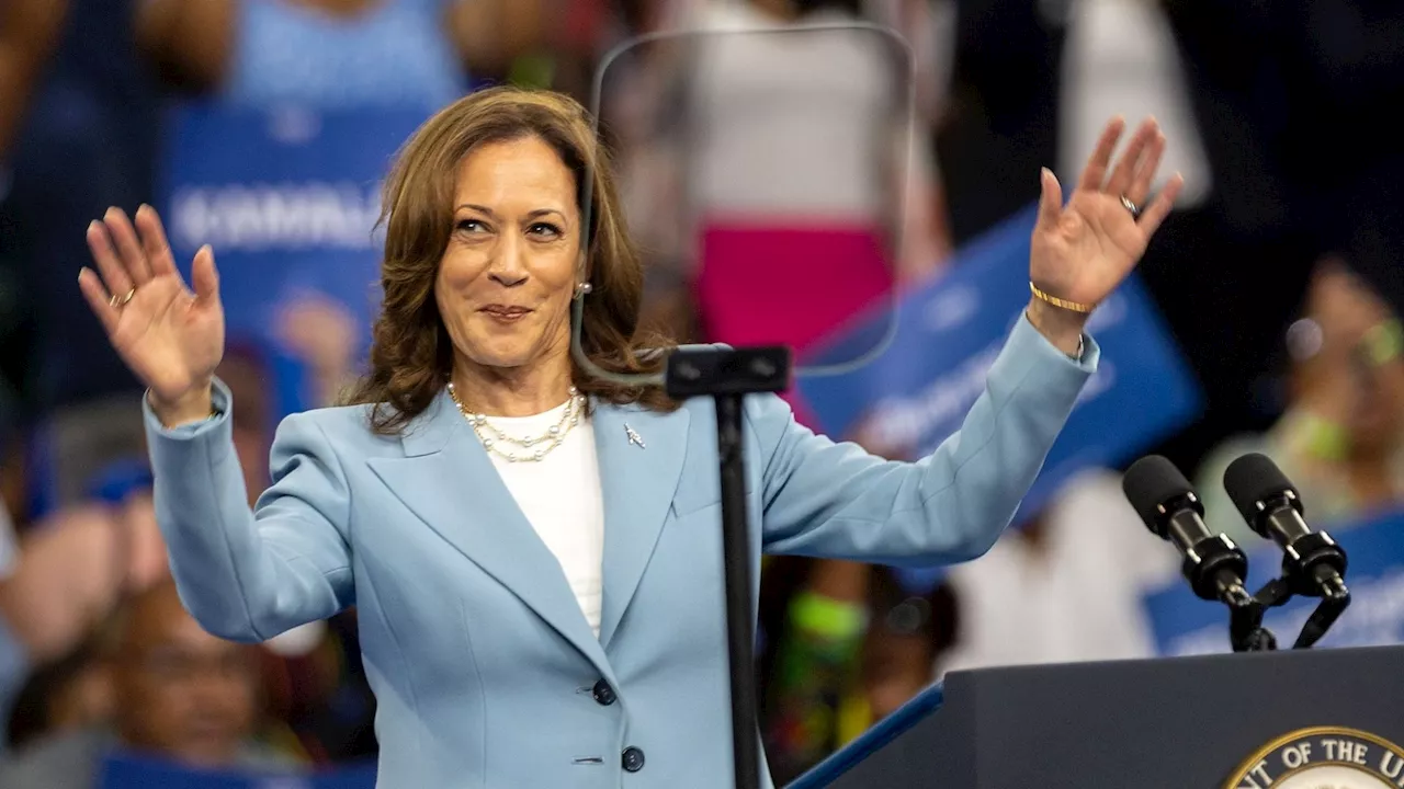 Kamala Harris has enough delegate votes to become historic Democratic nominee: DNC chair