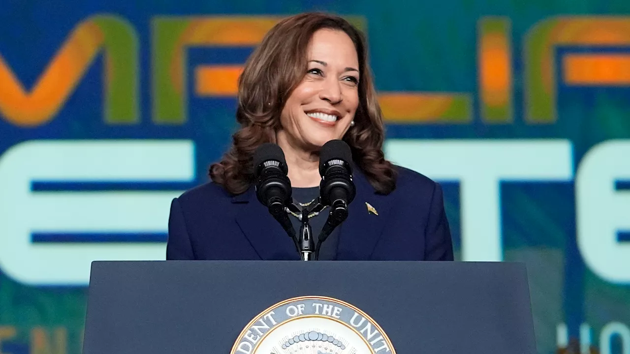 DNC virtual roll call underway, setting up Kamala Harris' nomination
