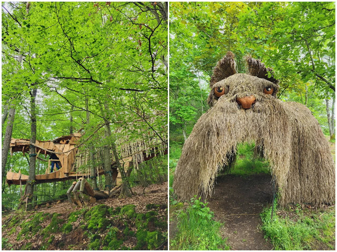 Près de Lyon : cette forêt cache une balade originale avec d'incroyables œuvres d'art