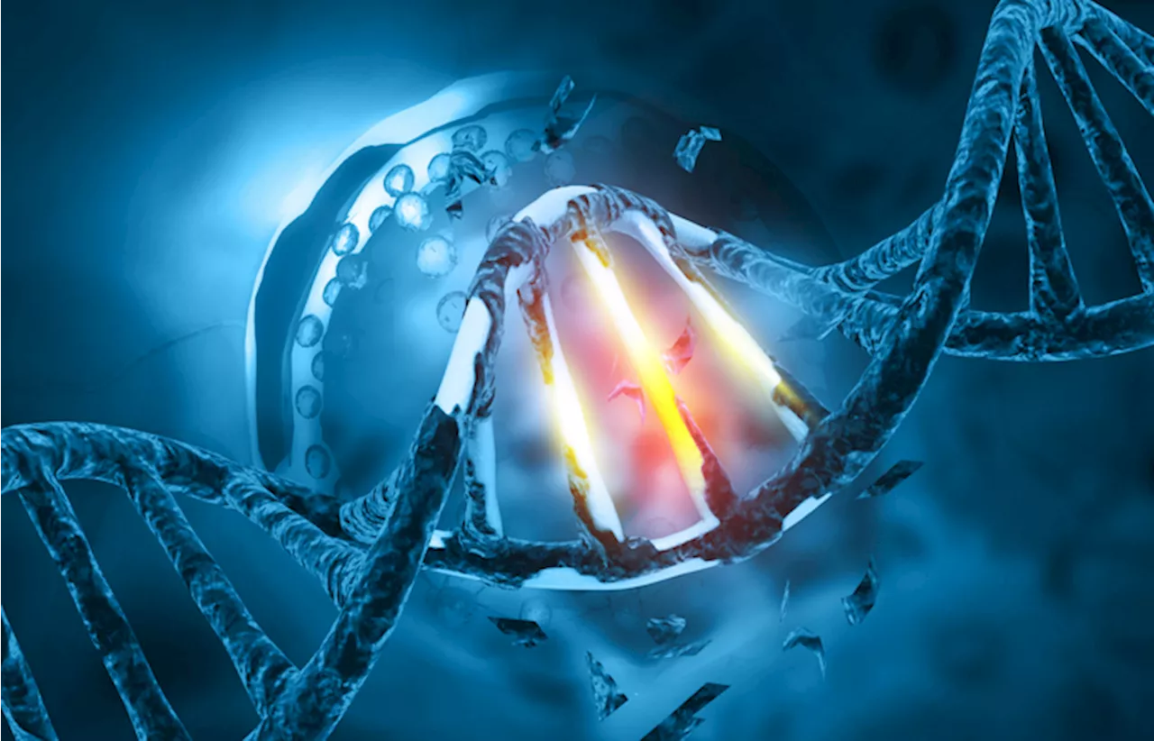 Così il Dna ripara i danni da raggi Uv e alcol VIDEO