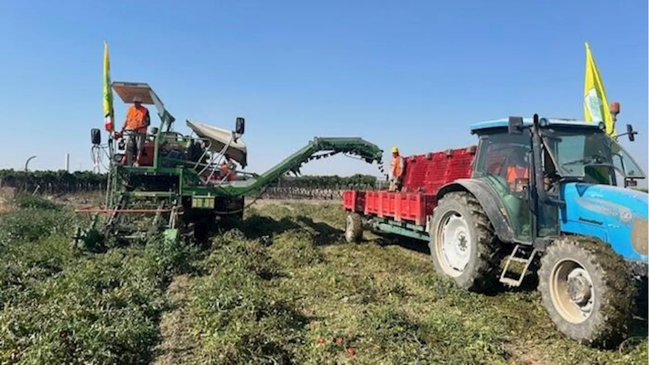 Puglia, senza piogge la Diga Occhito sarà ko in 15 giorni