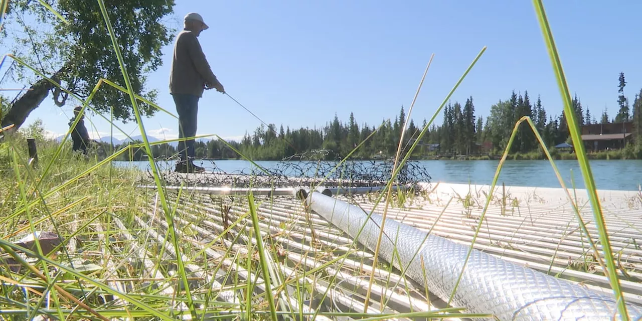 Dipnetting on Kenai closes, but flossing for reds remains consistent