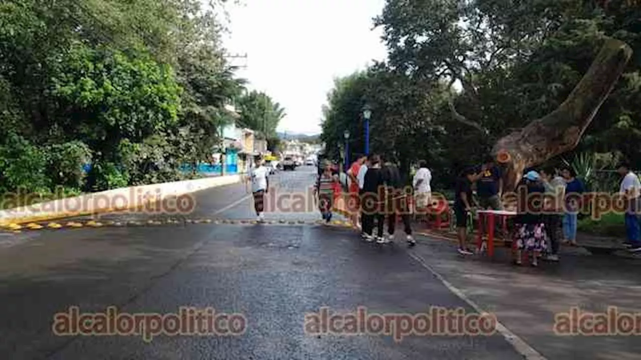 Bloquean vialidad en la colonia 21 de Marzo para impedir corte de árbol, en Xalapa