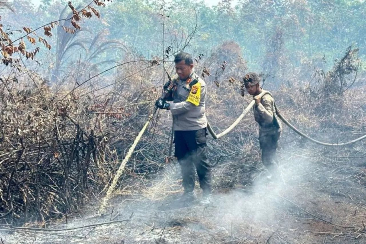 Delapan daerah di Riau tetapkan status siaga darurat karhutla