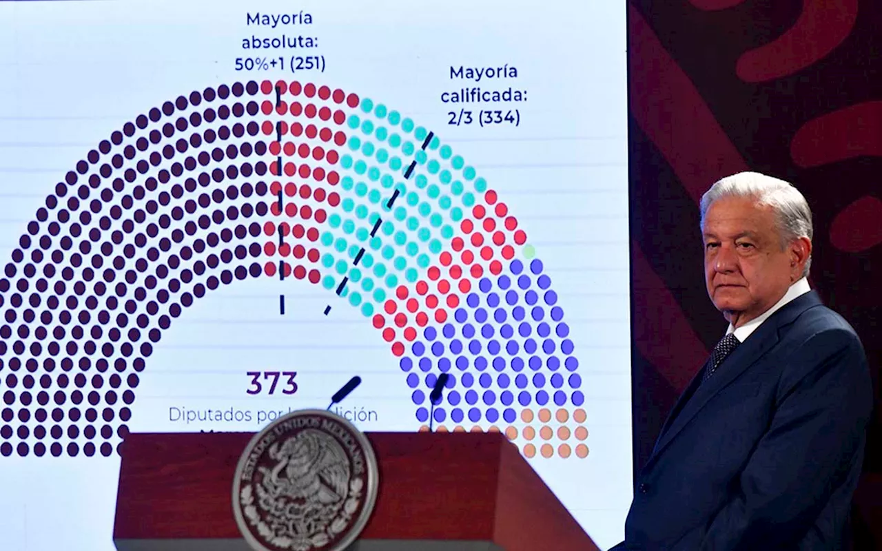 Morena, PT y PVEM se registraron como coalición y así debe ser su representación plurinominal: Michel