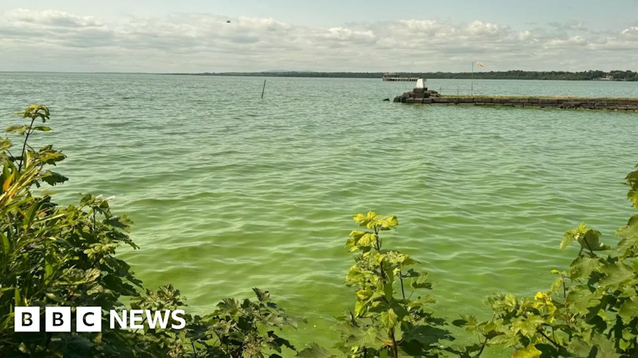 Lough Neagh: Blue-green algae back at 2023 levels