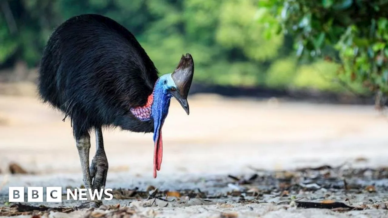 Warwick scientists listen to endangered animals' sounds for study