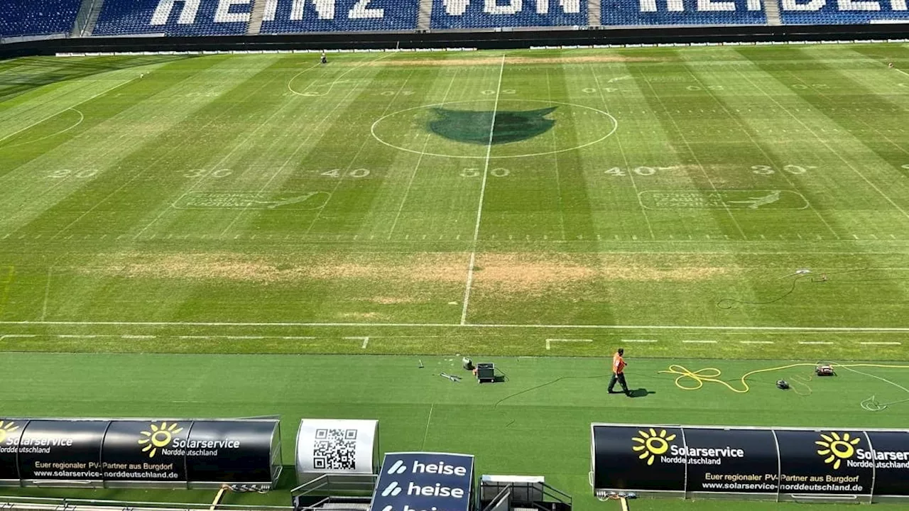 Hannover 96: Rasen-Zoff! Foto aus Stadion schockt vor Regensburg-Spiel