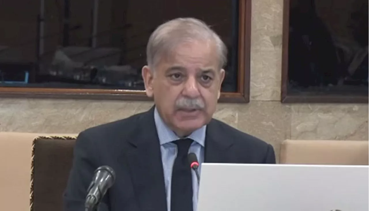 Shehbaz says govt focused on providing relief to electricity consumers