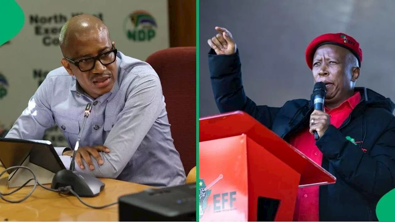 Deputy Minister in the Presidency Responds to Julius Malema Calling Him a Boy