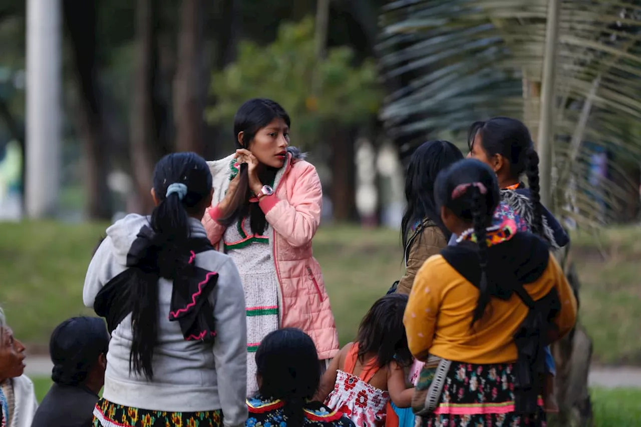 Indígenas en el Parque Nacional: 24 niños han muerto y aún no hay fecha de retorno