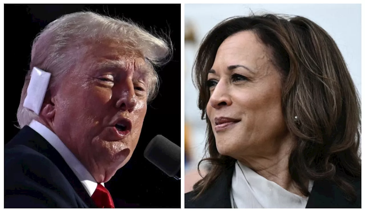 Trump indica que não participará de debate com Kamala: ‘Todo mundo me conhece’