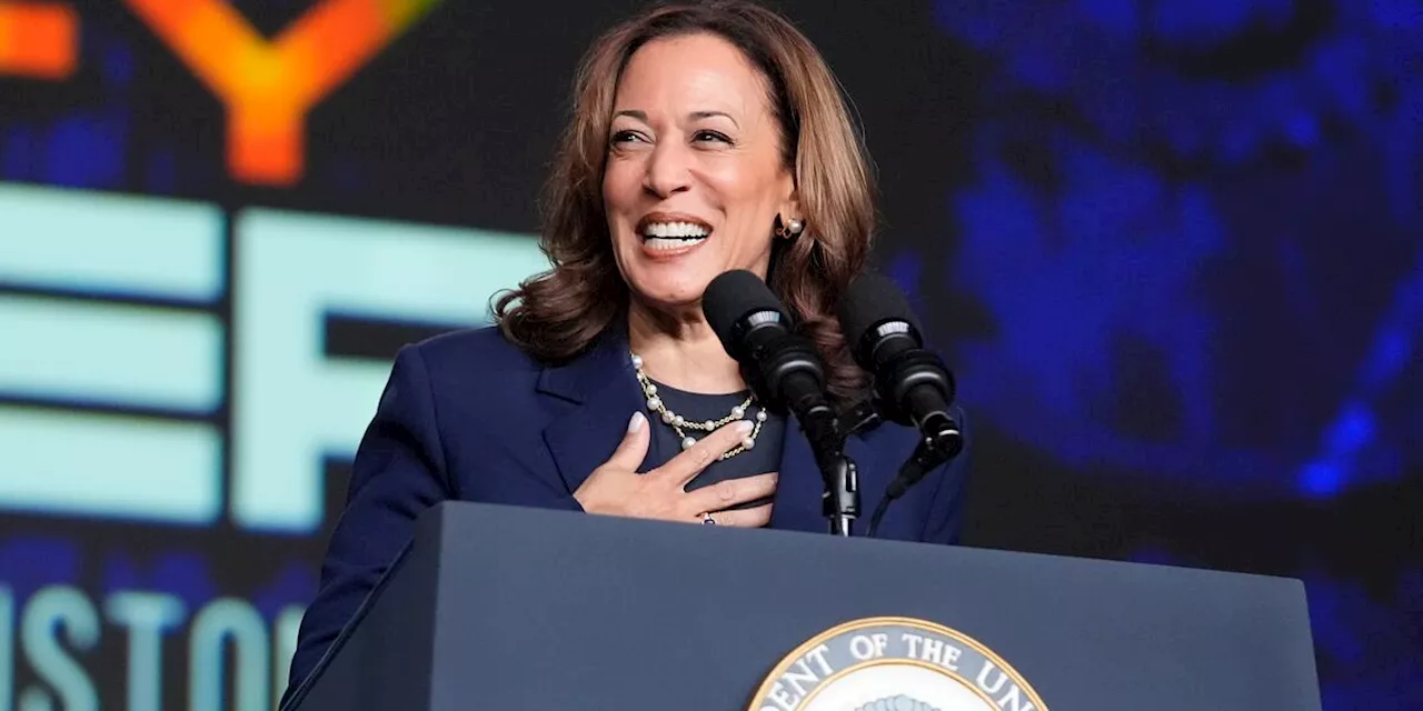 Kamala Harris has enough Democratic delegate votes to be the party’s nominee, Democratic chair says