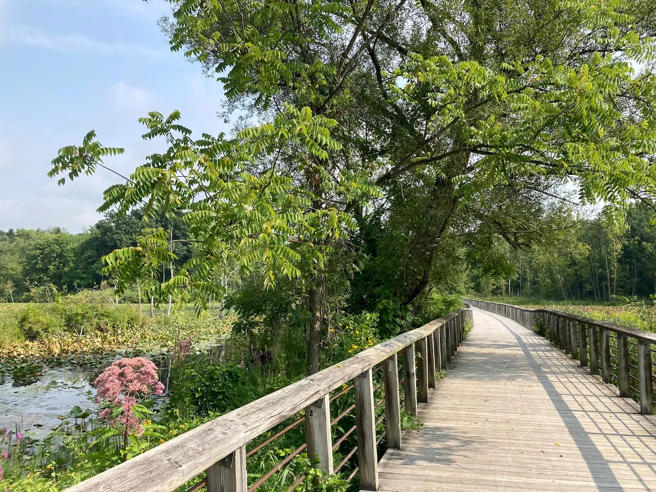 Volunteer opportunity: Help restore habitat at Cuyahoga Valley National Park on Aug. 8