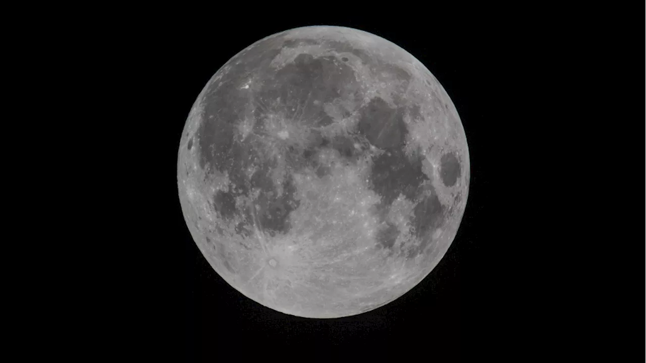 University of Calgary team trying to purify moon water for national competition