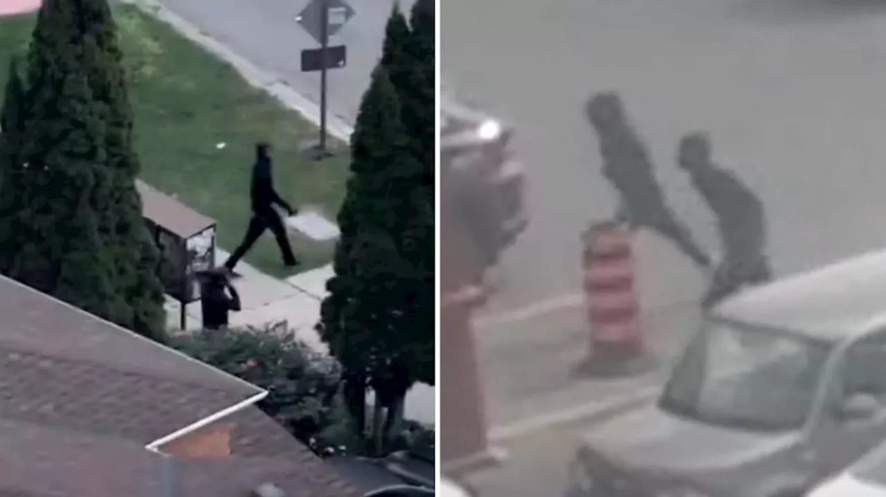 'I have two people hiding in the trees:' Video shows arrest of Markham carjacking suspects