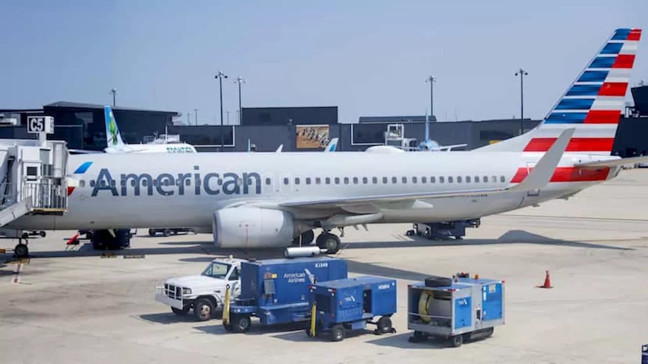 American Airlines passenger accused of trying to open plane doors on flight