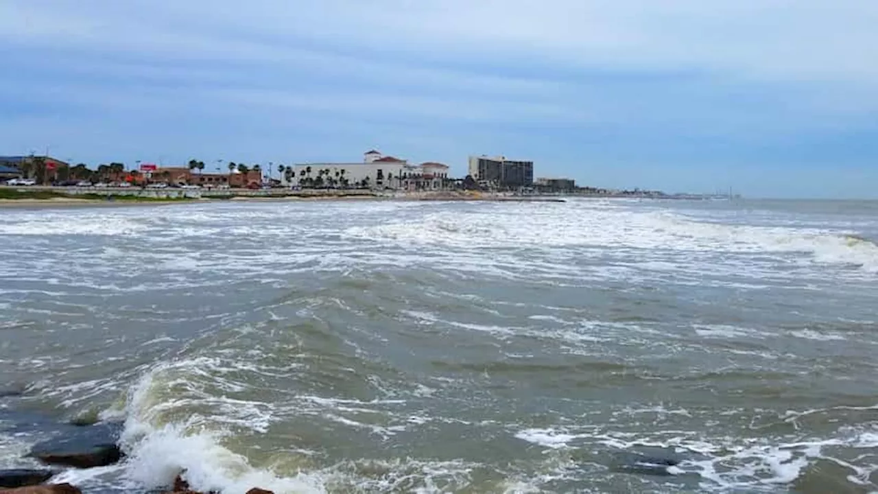 Texas Gulf Coast reports rise in flesh-eating bacteria