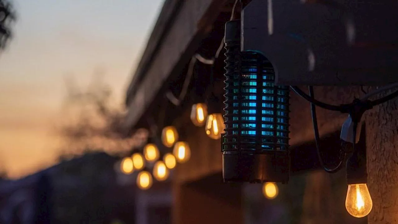 Everything you need to know about choosing a bug zapper