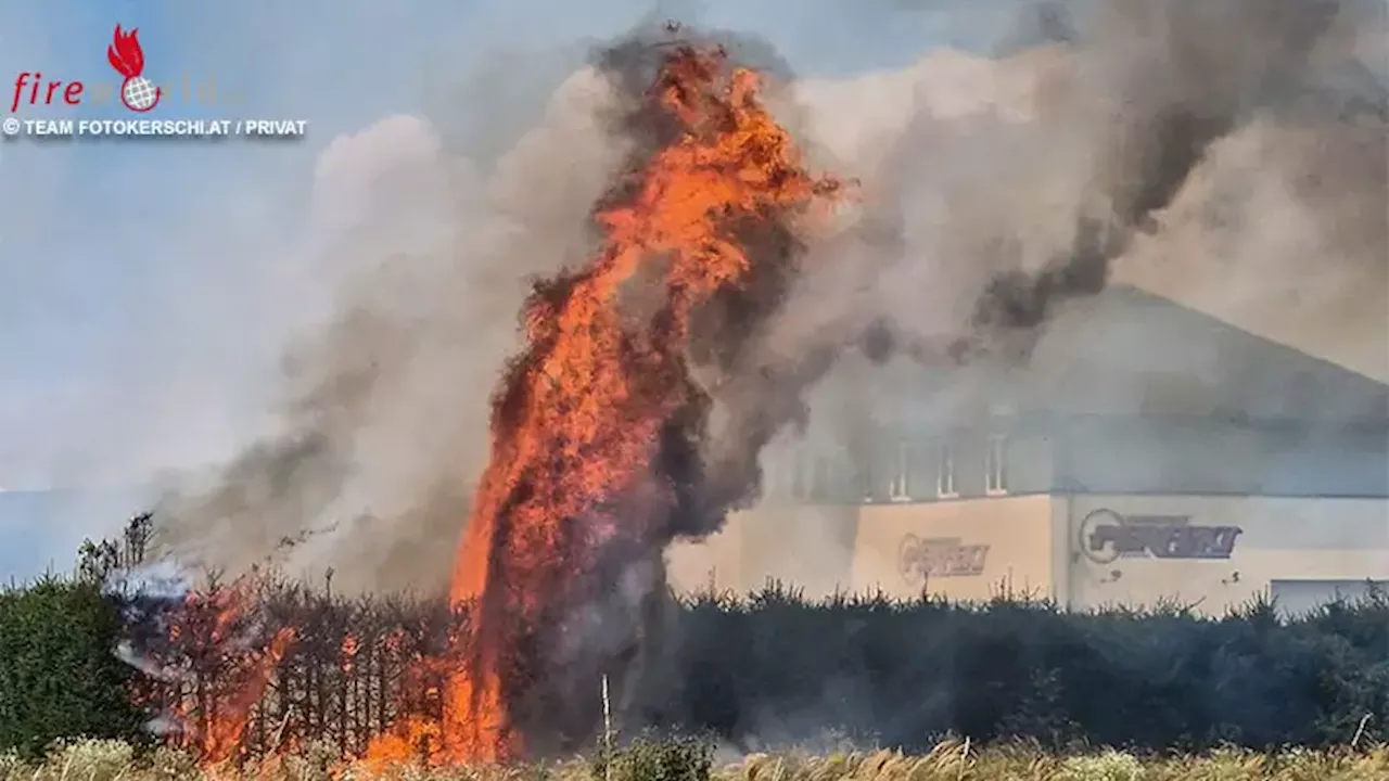 Oö: Intensiver Heckenbrand in Eferding → zwei Wehren im Einsatz