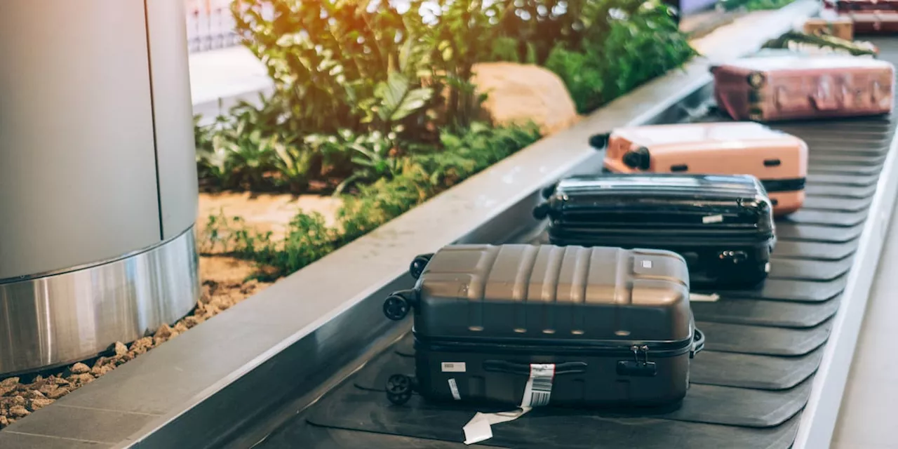 Viel los am Flughafen: Mit 6 einfachen Markierungen finden Sie Koffer schnell