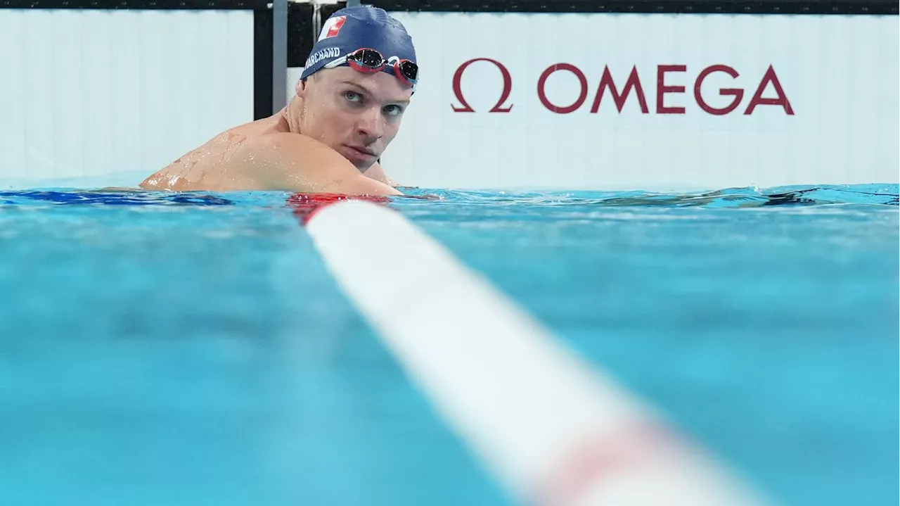 Natation aux JO de Paris 2024 : pourquoi Léon Marchand ne touchera pas toutes les primes de ses médailles d'or