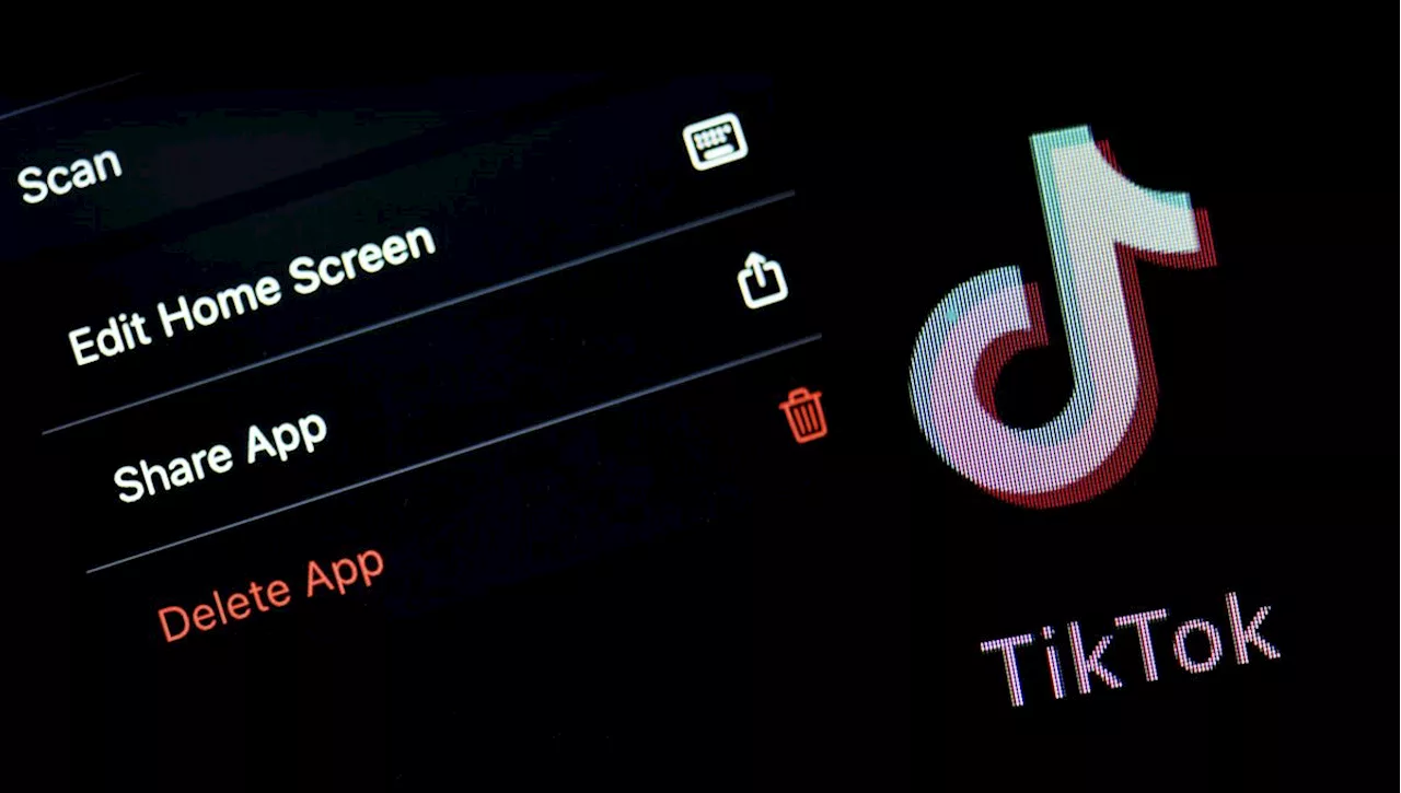 'NazTok' : une étude révèle l'utilisation de l'algorithme de TikTok par des groupes néo-nazis