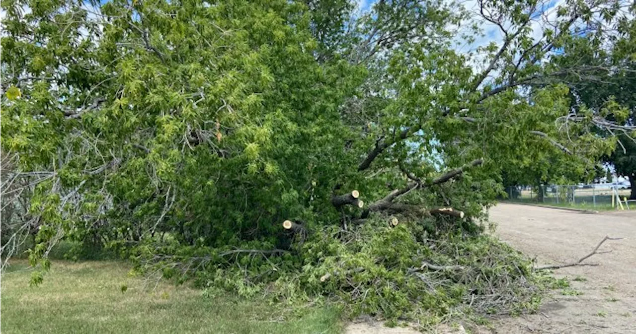 Redwater cleans up after heavy rain, wind tears through Alberta community