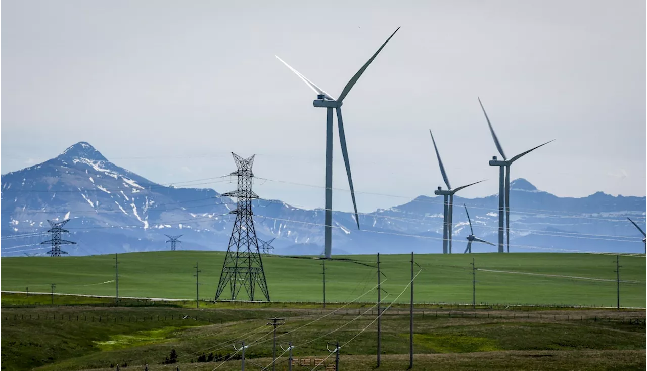 Alberta renewable energy pause has left legacy of cancelled development, study shows