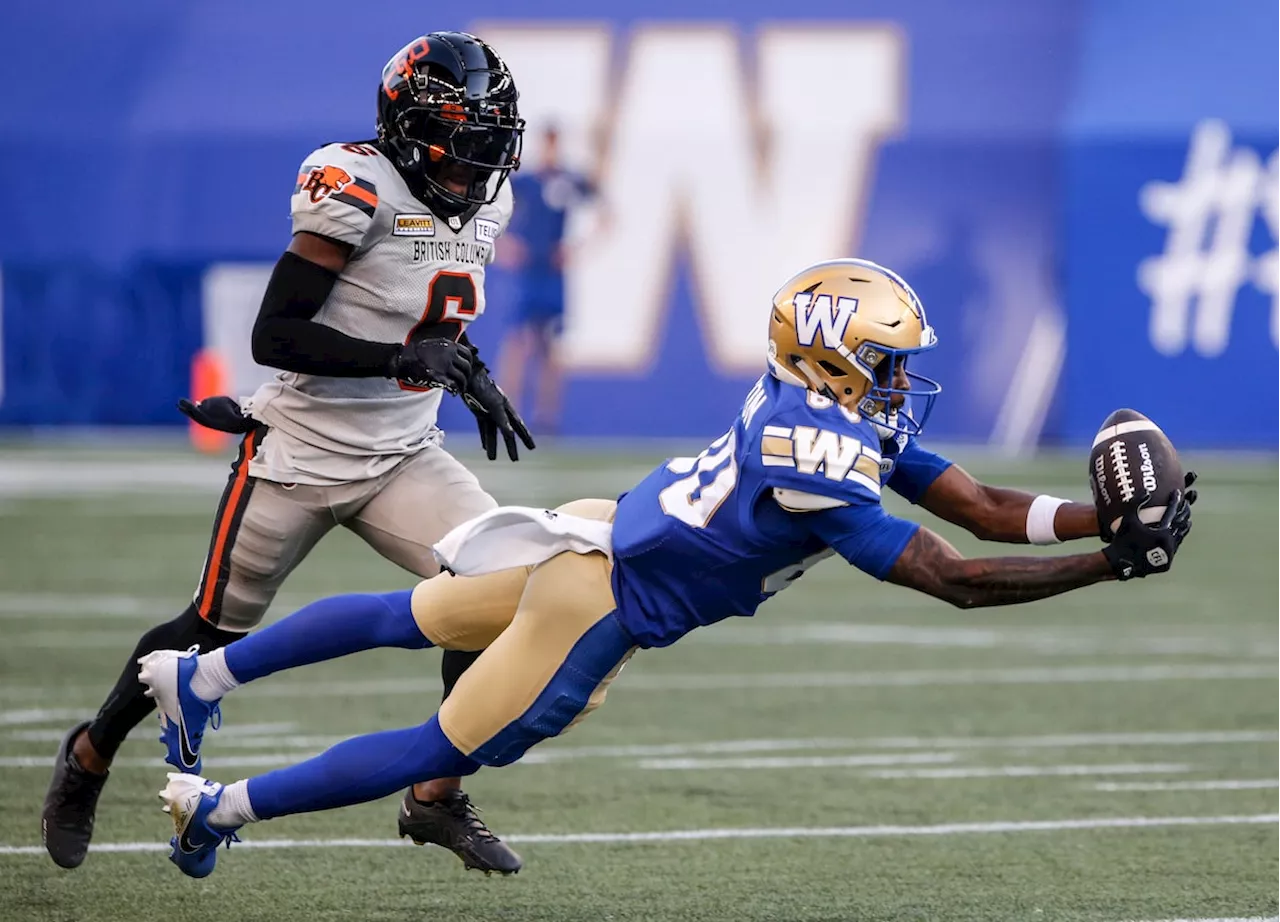 Blue Bombers upset Lions 25-0 in Winnipeg on six field goals by Castillo