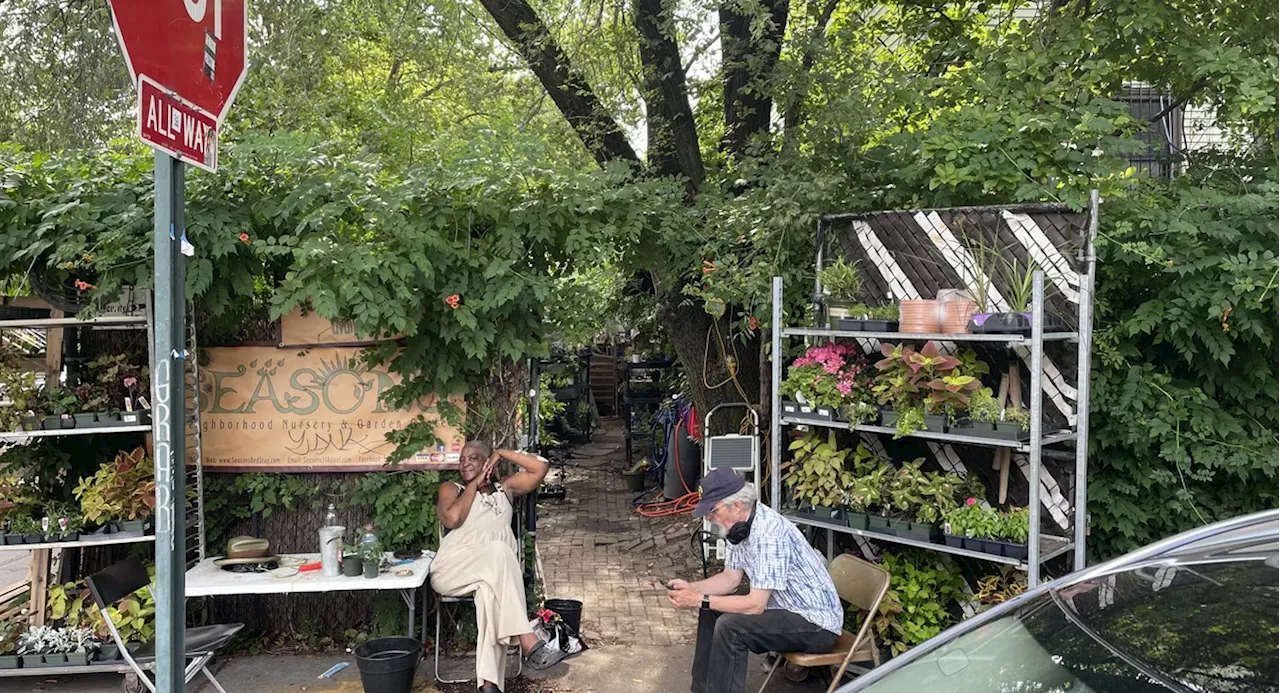 Beloved Bed-Stuy nursery and garden center Seasons nearing end of the road