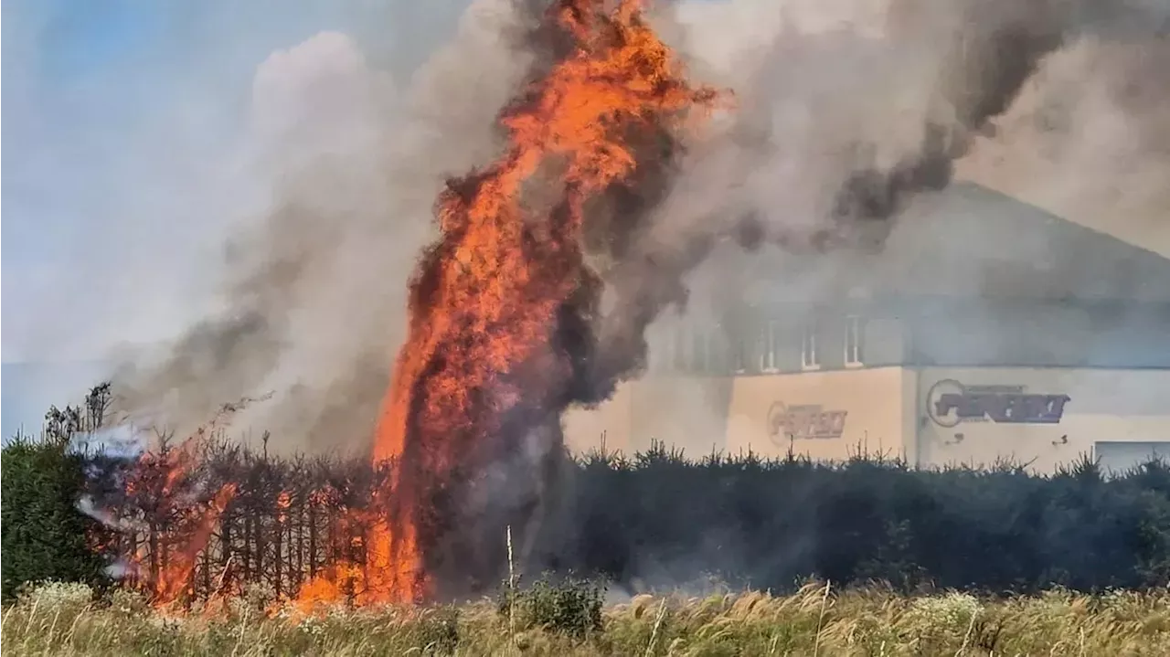  Bursch zündelt mit Freund – Hecke steht in Flammen