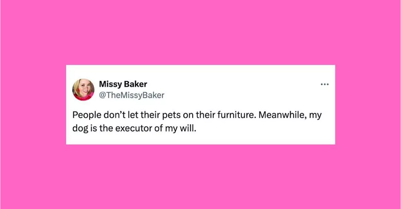 21 Of The Funniest Tweets About Cats And Dogs This Week (July 27-Aug. 2)