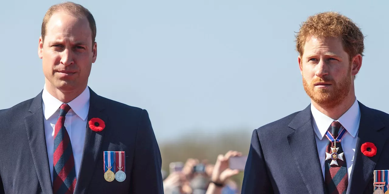 Prince Harry and Prince William's Rift Is Reportedly 'Bad' But Not 'Irreparable'