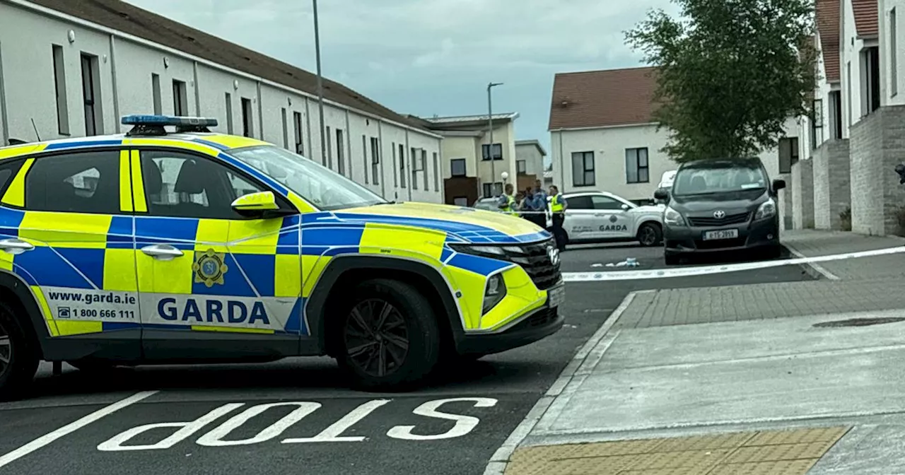 Gardai probe launched after murder attempt on senior West Dublin gangster