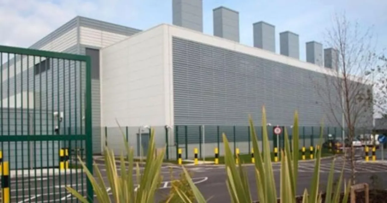 Google data centre expansion draws ire of environmental groups