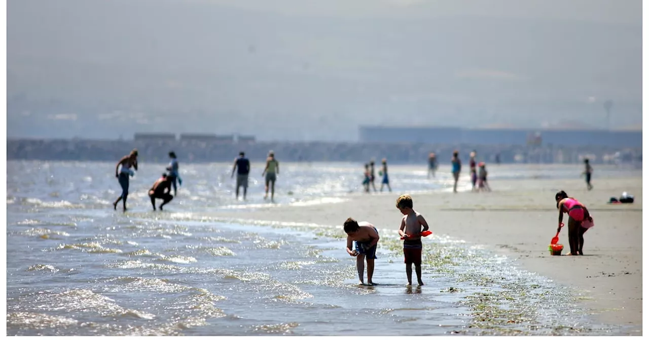 Lifeguards at popular Dublin beach concerned about ‘dangerous’ staffing levels and substandard safety gear