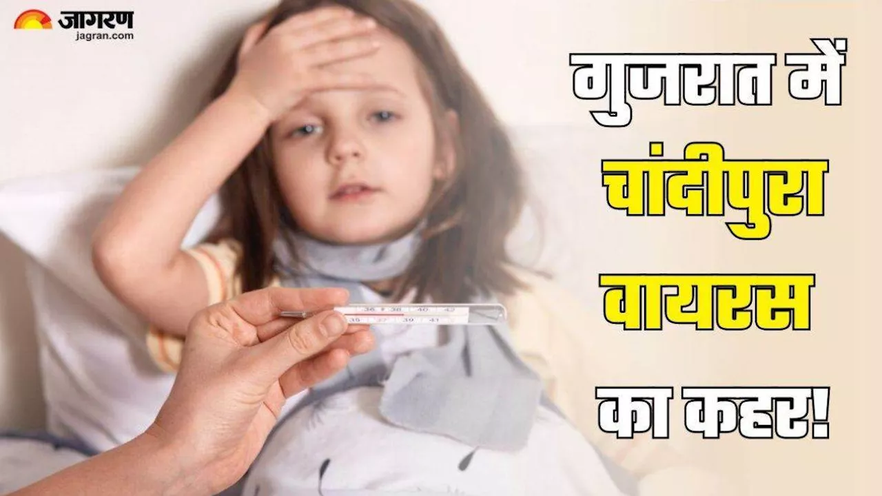 Chandipura Virus: गुजरात में चांदीपुरा वायरस का कहर, टेस्ट के लिए भेजे गए सैंपल में से 8 पॉजिटिव; 4 मामले संदिग्ध