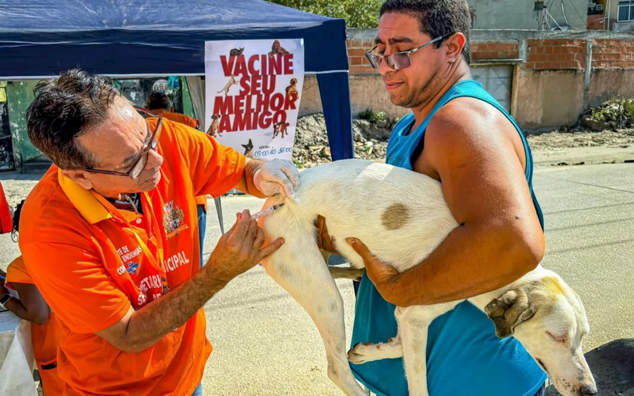 Campanha de Vacinação Antirrábica imuniza 460 cães e gatos em Belford Roxo