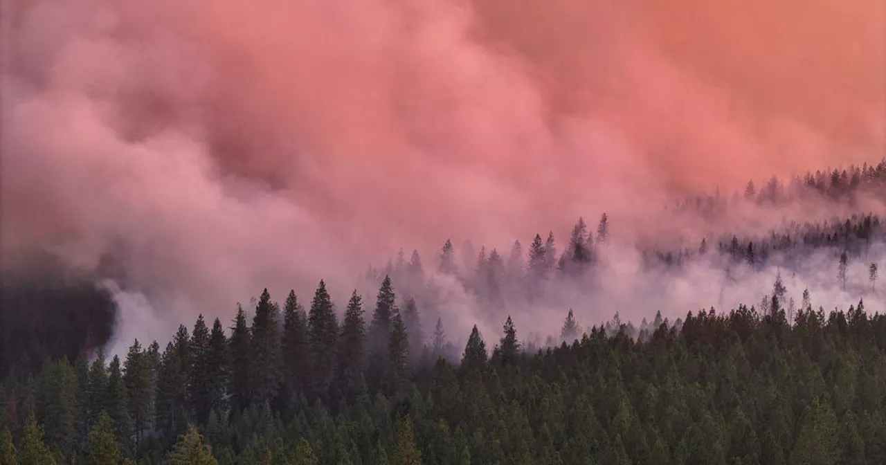 As the Park Fire sets records, these are the largest wildfires in California history