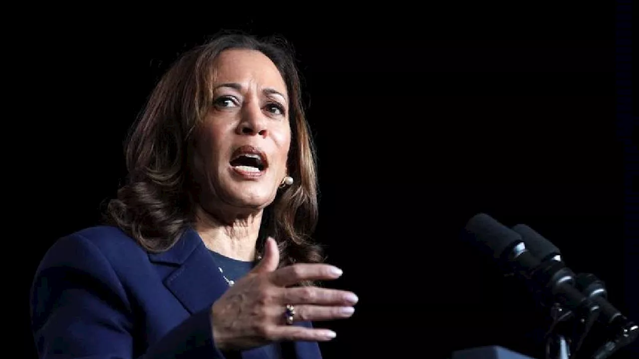 Kamala Harris secures delegate votes needed to become Democratic nominee