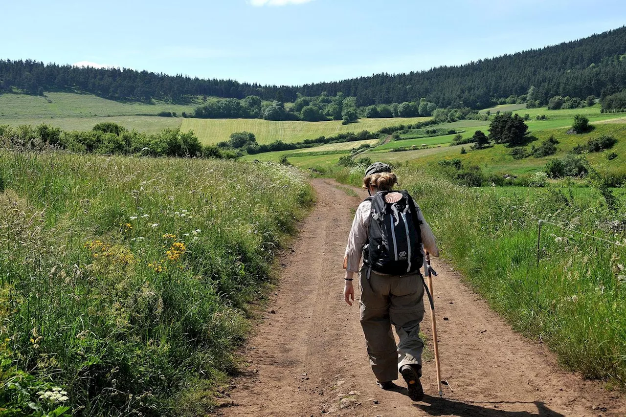 Chemin de Compostelle : « Les gens ne vont pas vers Saint-Jacques, mais vers eux-mêmes »