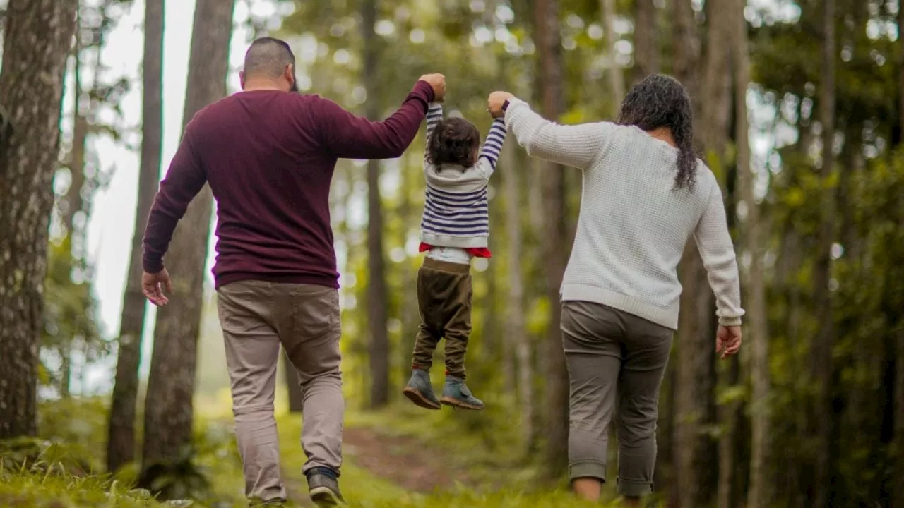 Estos son los seguros familiares que debes tener según Condusef