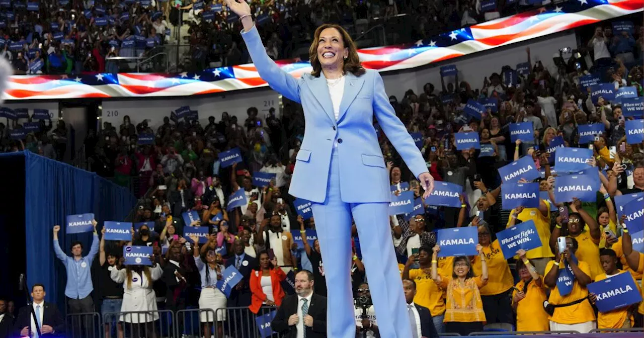 Kamala Harris secures enough Democratic delegate votes to be nominee, Democratic committee chair says